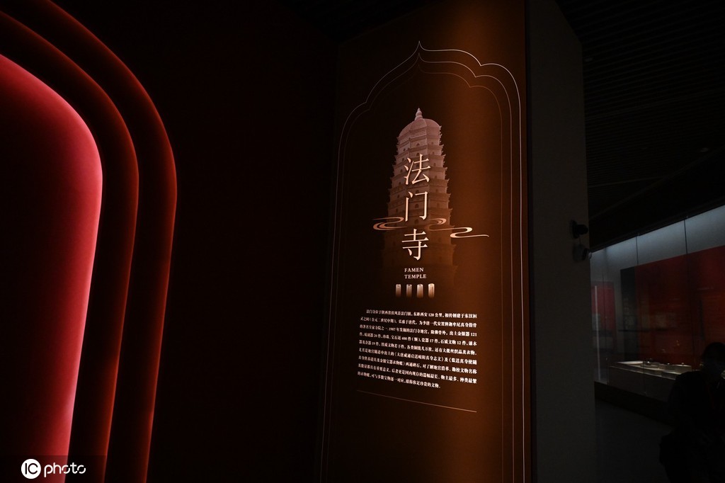 一大波秦始皇陵兵马俑亮相上海