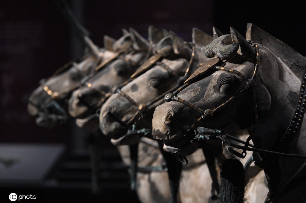 一大波秦始皇陵兵马俑亮相上海