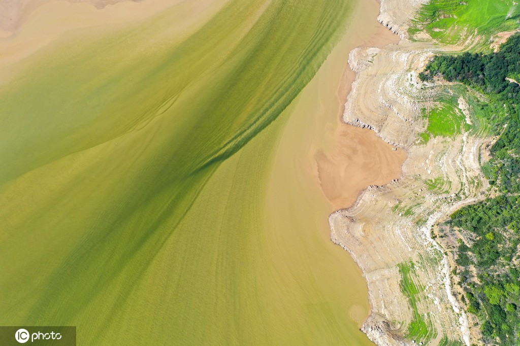 小浪底大坝放水 黄河上游河床现“沙画”图案