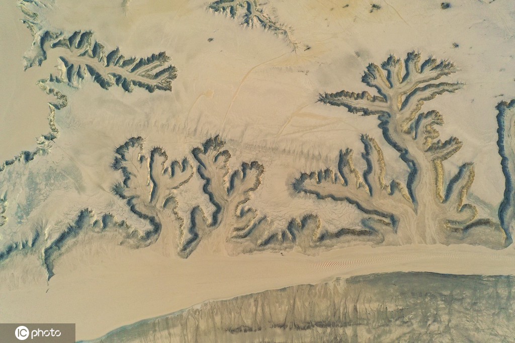 小浪底大坝放水 黄河上游河床现“沙画”图案