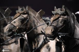 一大波秦始皇陵兵马俑亮相上海