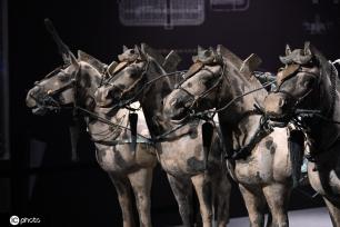 一大波秦始皇陵兵马俑亮相上海