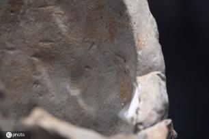 一大波秦始皇陵兵马俑亮相上海