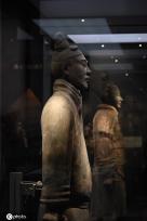 一大波秦始皇陵兵马俑亮相上海