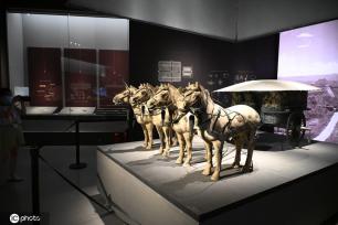 一大波秦始皇陵兵马俑亮相上海