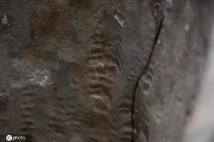 一大波秦始皇陵兵马俑亮相上海