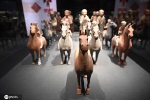 一大波秦始皇陵兵马俑亮相上海