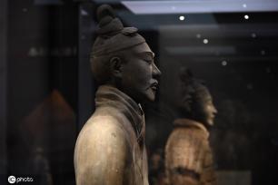 一大波秦始皇陵兵马俑亮相上海