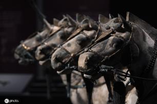 一大波秦始皇陵兵马俑亮相上海