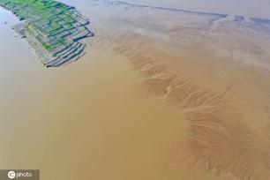 小浪底大坝放水 黄河上游河床现“沙画”图案