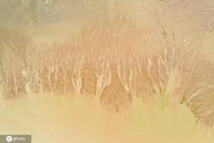 小浪底大坝放水 黄河上游河床现“沙画”图案