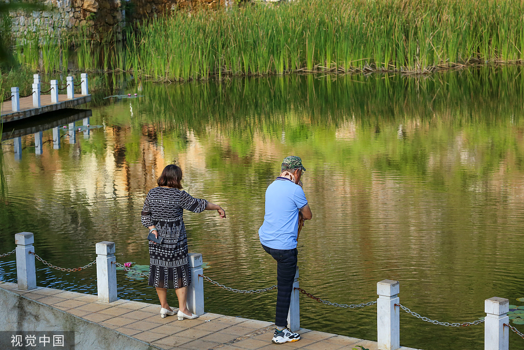 云南个旧：守绿增金 废弃矿山变身生态公园