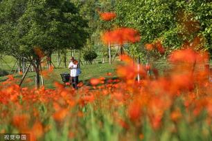 云南个旧：守绿增金 废弃矿山变身生态公园