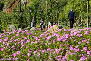 云南个旧：守绿增金 废弃矿山变身生态公园