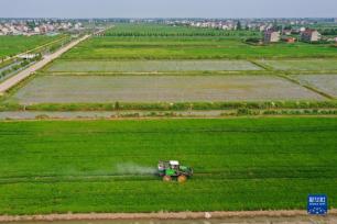 江苏海门：农业提档升级 助力乡村振兴