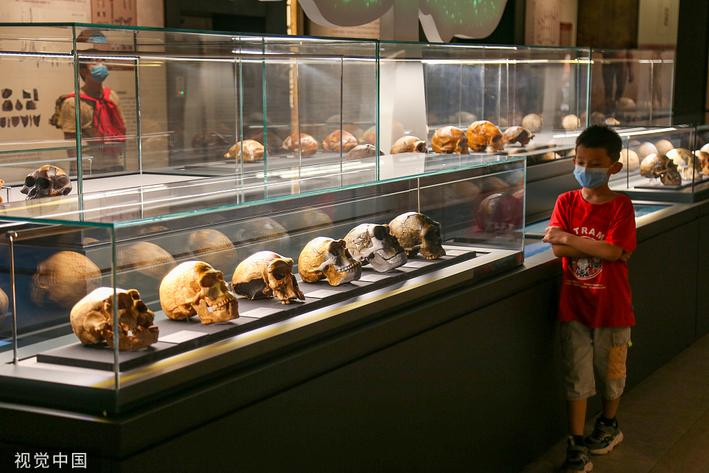 郑州市文物考古研究院考古博物馆正式开馆