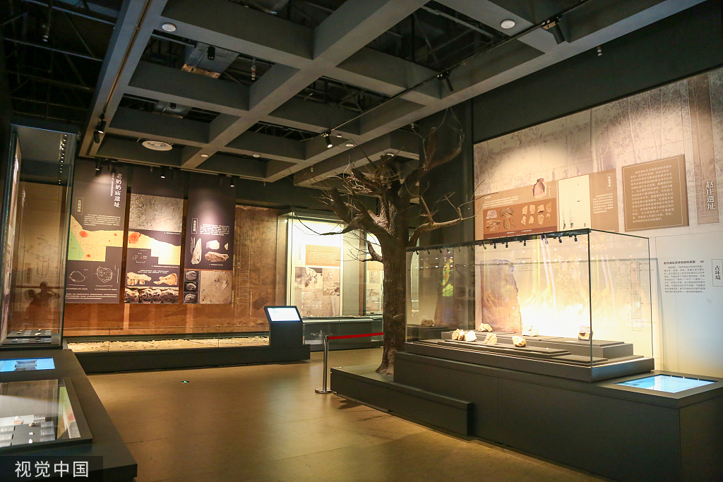 郑州市文物考古研究院考古博物馆正式开馆