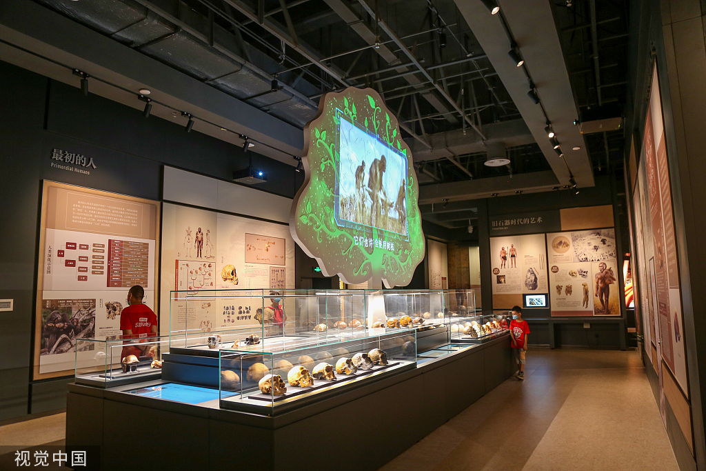 郑州市文物考古研究院考古博物馆正式开馆