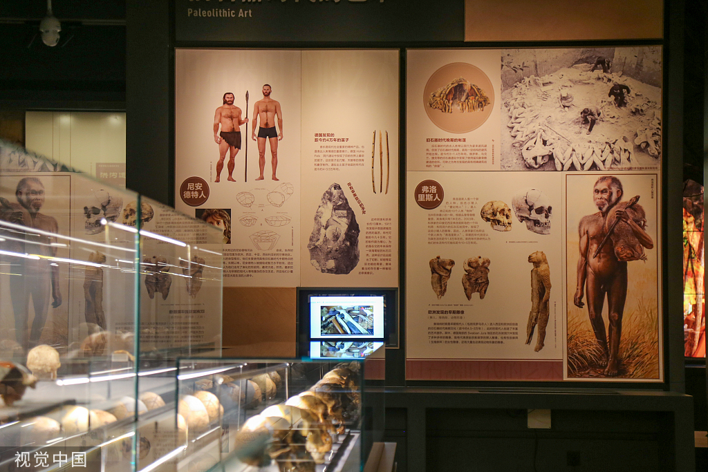 郑州市文物考古研究院考古博物馆正式开馆