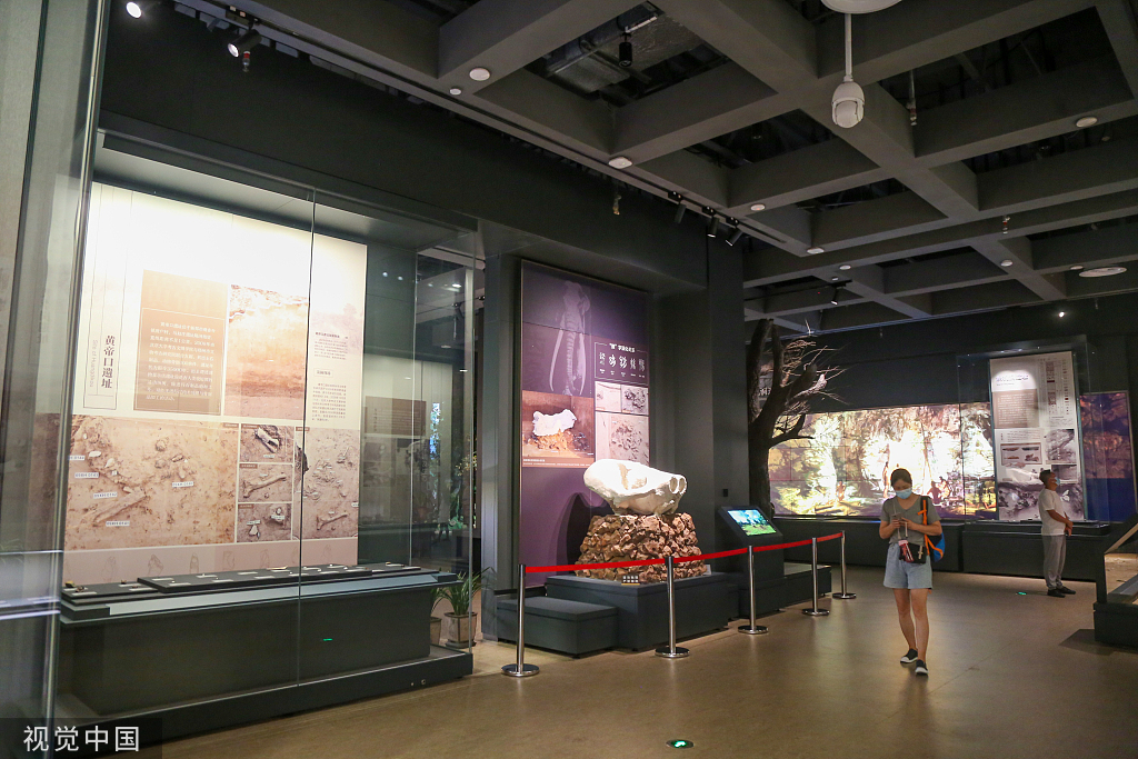郑州市文物考古研究院考古博物馆正式开馆