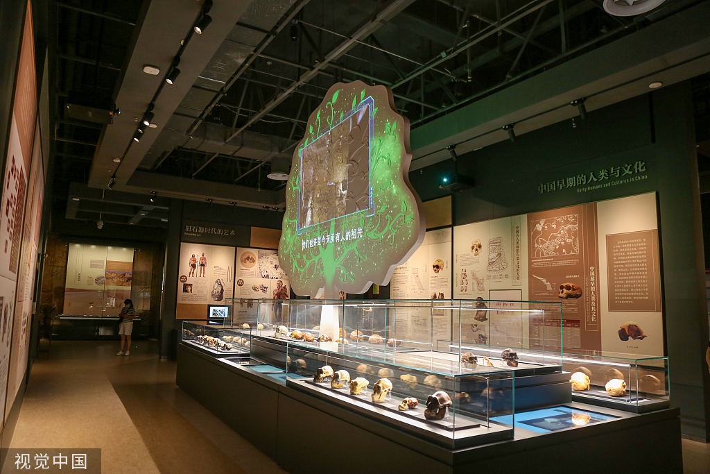 郑州市文物考古研究院考古博物馆正式开馆