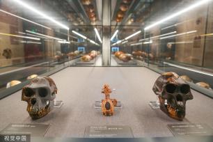 郑州市文物考古研究院考古博物馆正式开馆