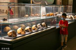 郑州市文物考古研究院考古博物馆正式开馆