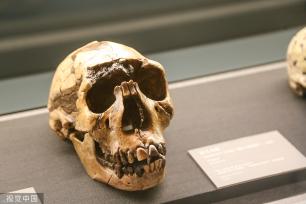 郑州市文物考古研究院考古博物馆正式开馆