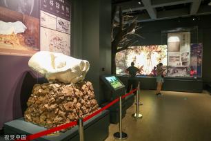 郑州市文物考古研究院考古博物馆正式开馆