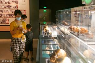 郑州市文物考古研究院考古博物馆正式开馆