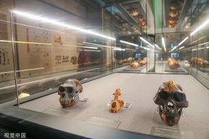 郑州市文物考古研究院考古博物馆正式开馆