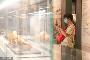 郑州市文物考古研究院考古博物馆正式开馆