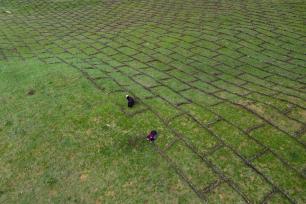 四川若尔盖：遏制草原退化沙化