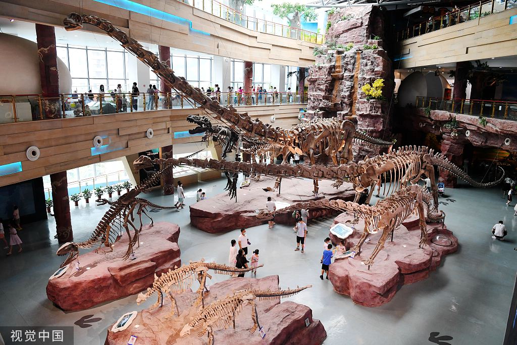 合肥：暑期期间孩子畅游博物馆
