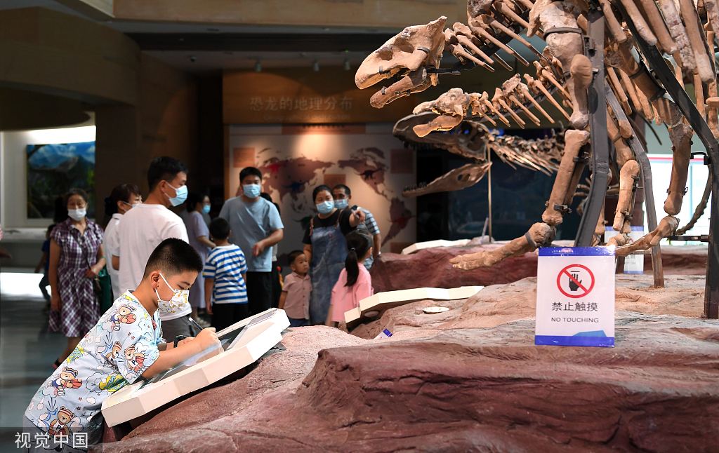 合肥：暑期期间孩子畅游博物馆