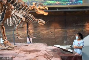 合肥：暑期期间孩子畅游博物馆