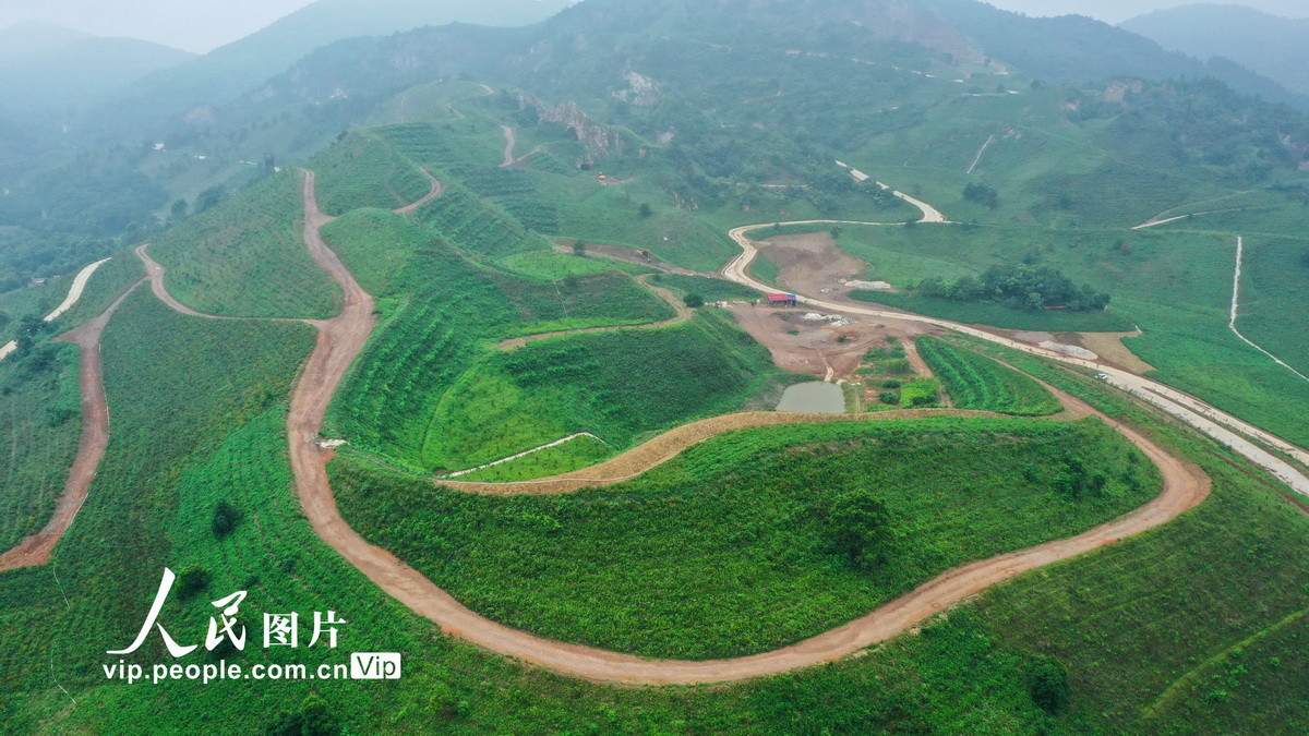 安徽庐江：昔日废弃矿 今日披“绿装”