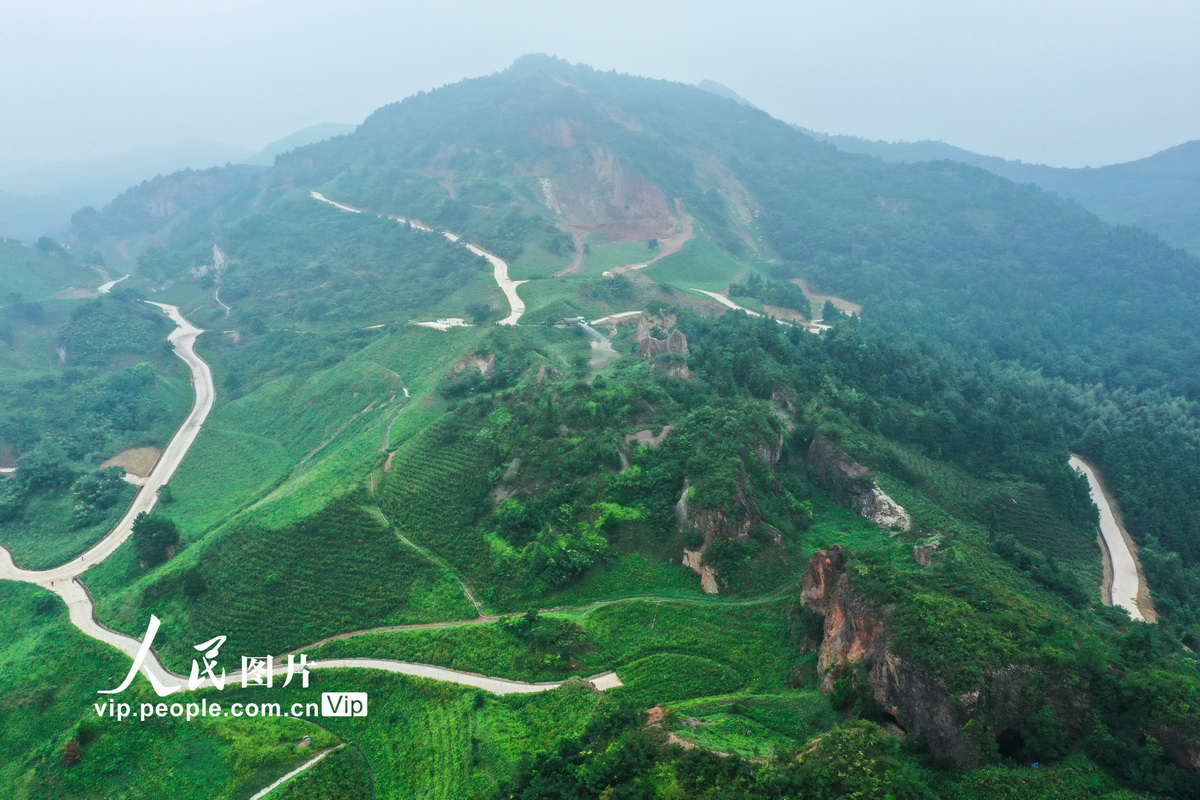 安徽庐江：昔日废弃矿 今日披“绿装”