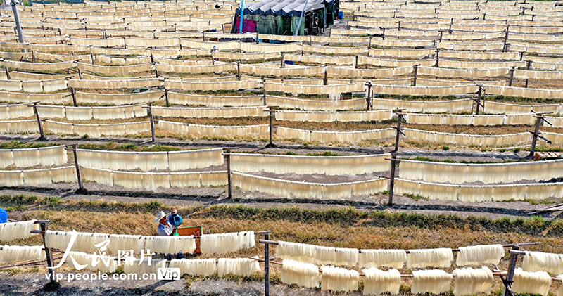 浙江仙居：加工米面助农增收