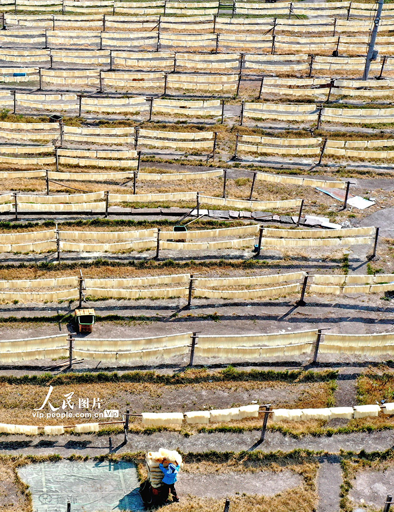 浙江仙居：加工米面助农增收