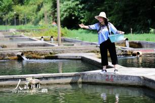 贵州榕江：冷水鱼养殖 “鲟”出致富路