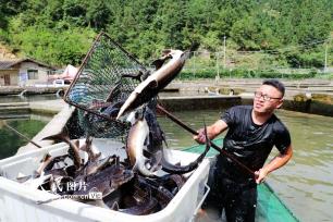 贵州榕江：冷水鱼养殖 “鲟”出致富路