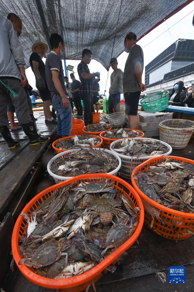 东海部分解禁开渔 舟山首批渔获归港