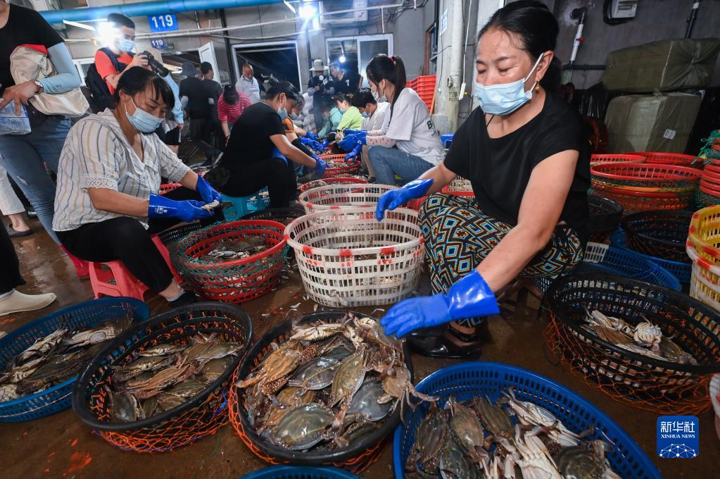 东海部分解禁开渔 舟山首批渔获归港