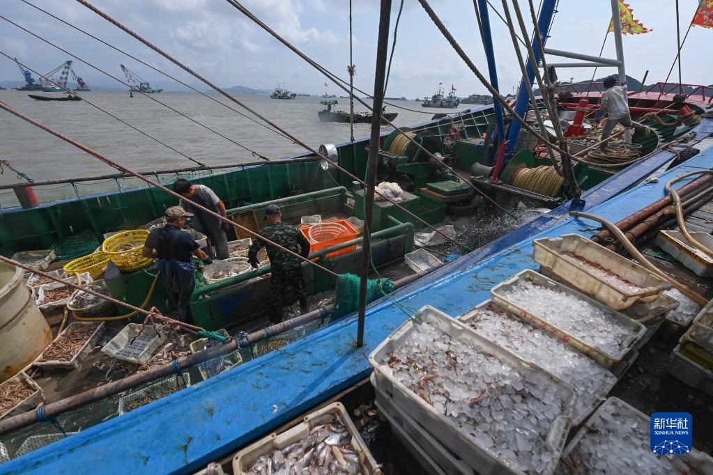东海部分解禁开渔 舟山首批渔获归港