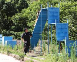 浙江台州：炎炎夏日 警犬“练兵”忙