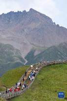 祁连美景迎客来