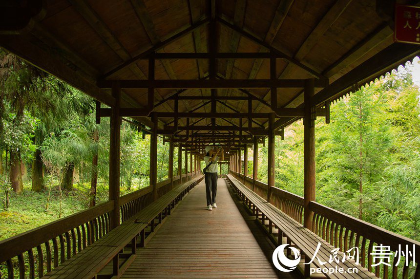 贵州平坝：打绿色生态牌 走经济发展路