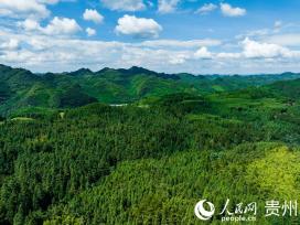 贵州平坝：打绿色生态牌 走经济发展路