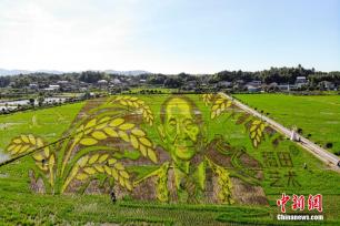 长沙百亩稻田里种出袁隆平巨幅画像